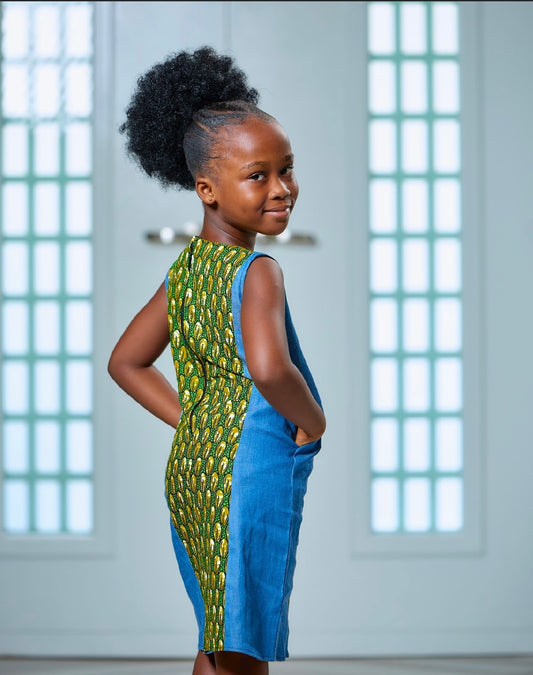 Aba Asor Dress