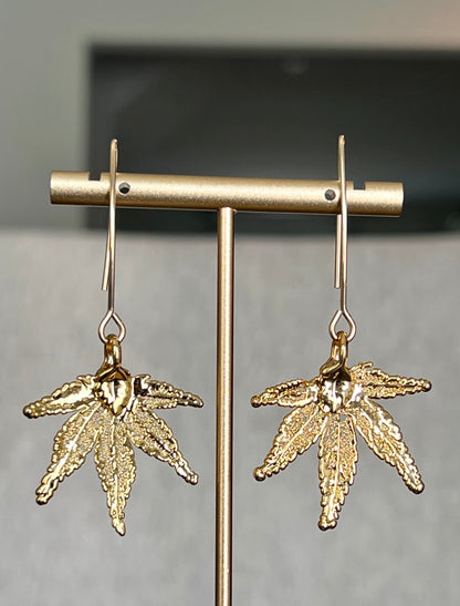 Ajo Fali Earrings